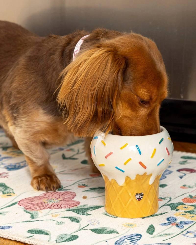 I Scream for Ice Cream Elevated Pet Food Bowl Eat BIG MOUTH