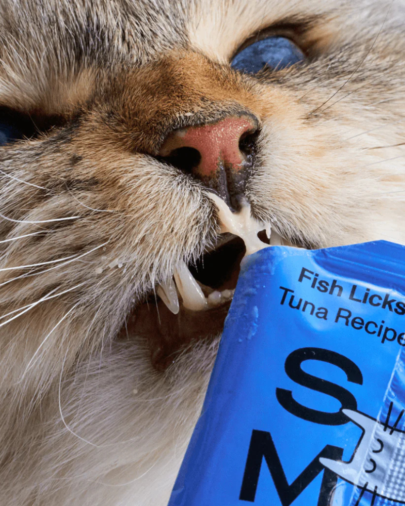 Lickable Pouch Cat Treat (8-Pack)