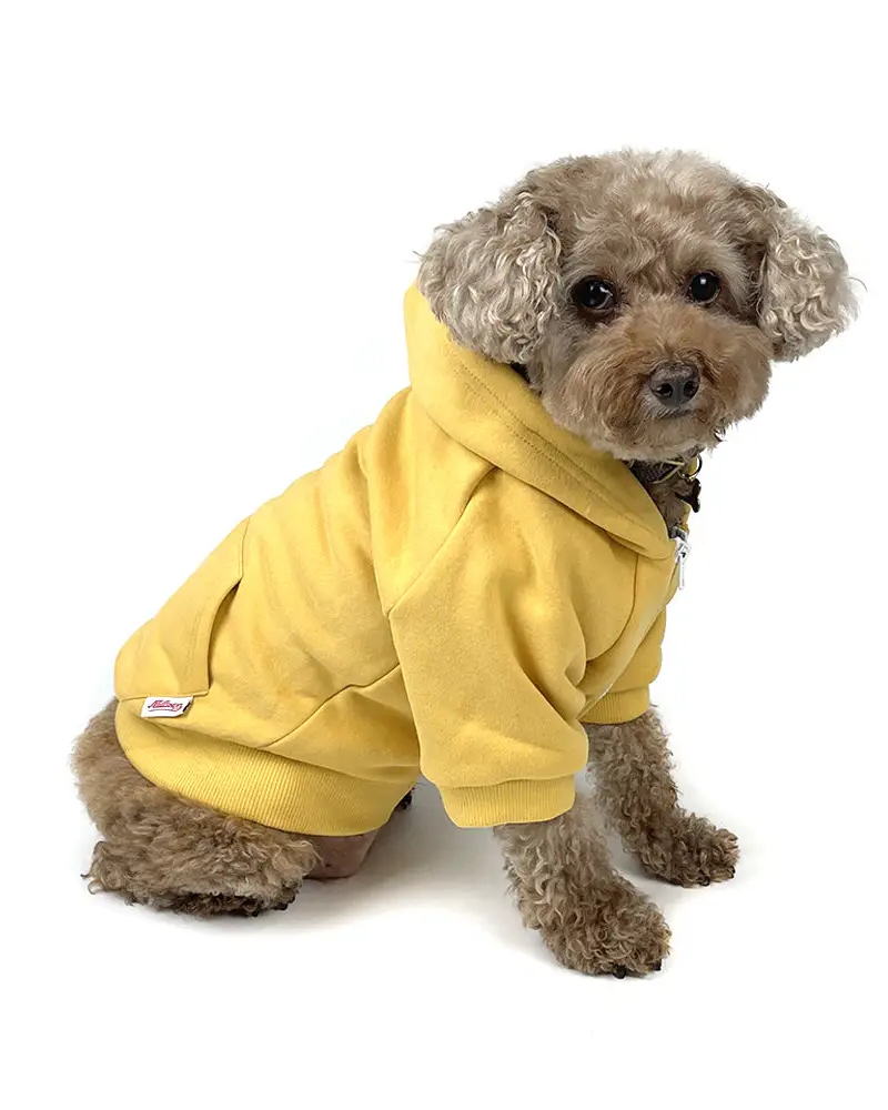 Zip Up Dog Hoodie in Mustard Yellow Wear MILLTOWN BRAND