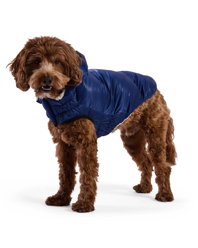 Lunar Glow Dog Parka in Blue Wear GF PET