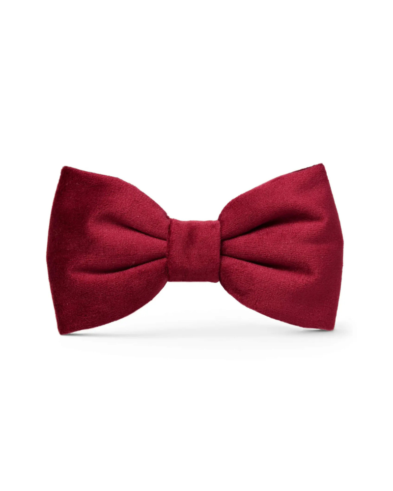 Burgundy Velvet Dog Bow Tie Wear THE FOGGY DOG