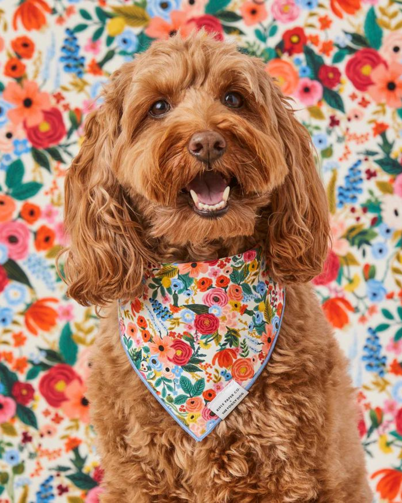 Rifle Paper Co. X Tfd Garden Party Spring Dog Bandana (Made in the USA) Wear THE FOGGY DOG   