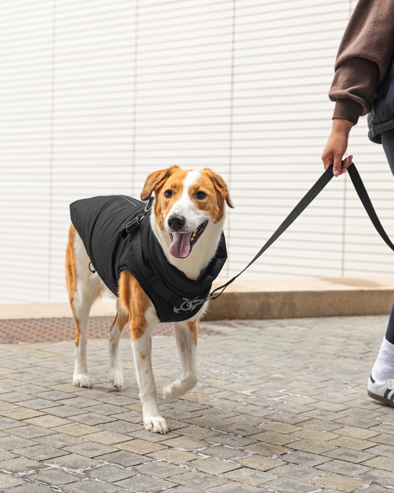 Complete Control Harness Winter Dog Jacket Wear CANADA POOCH