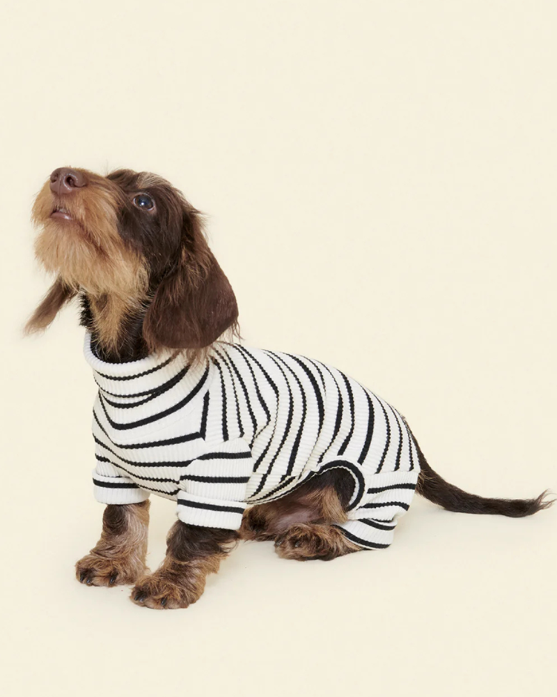 World's Your Oyster Dog Onesie Wear LITTLE BEAST