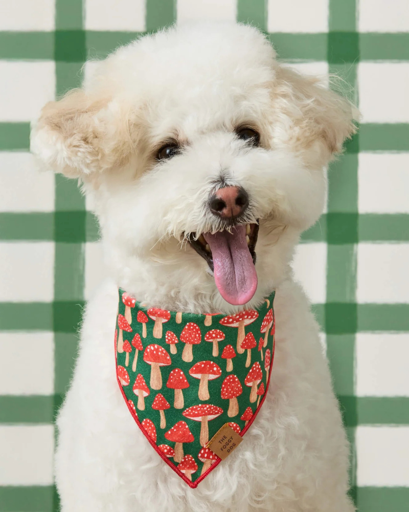 Mushroom Meadow Cotton Dog Bandana (Made in the USA) Wear THE FOGGY DOG