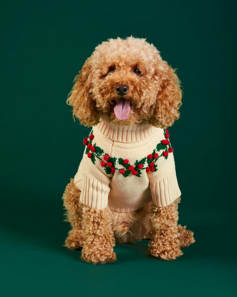 Holly Bobble Dog Sweater Wear THE FOGGY DOG   