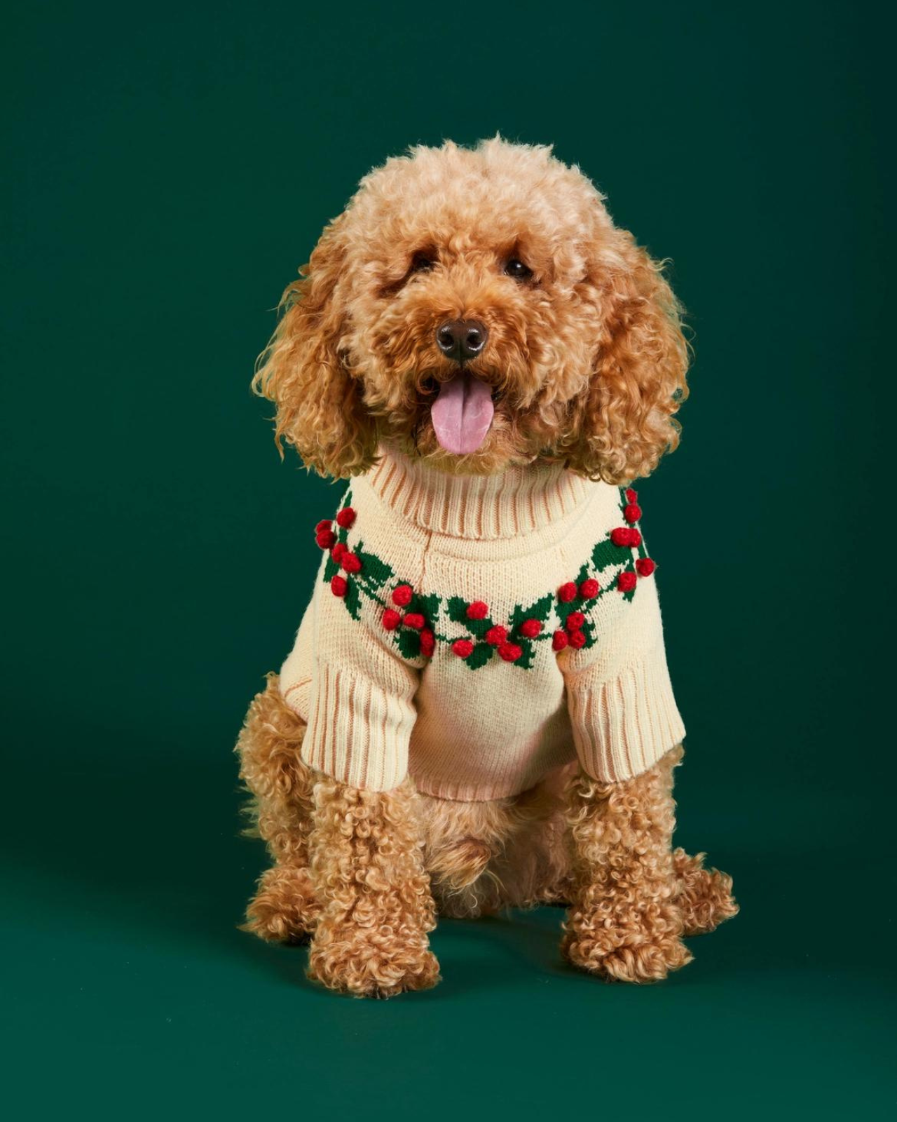 THE FOGGY DOG | Holly Bobble Dog Sweater