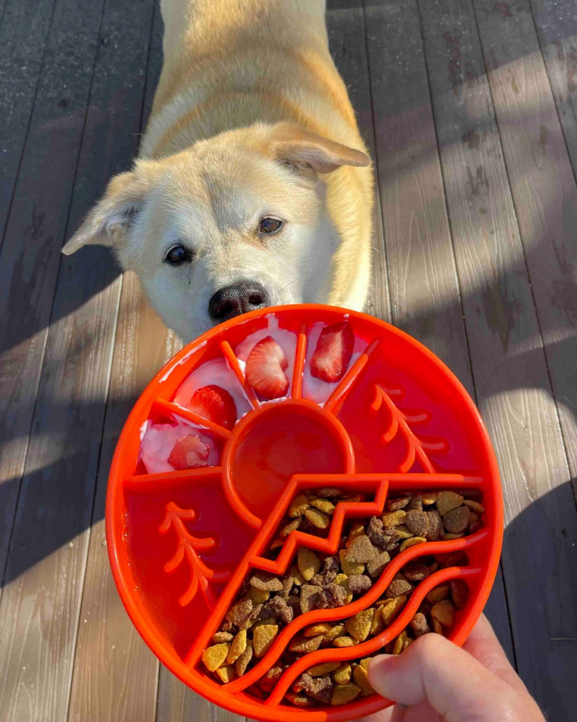 Great Outdoors Slow Feeder Dog Bowl (Made in the USA) Eat SODA PUP   