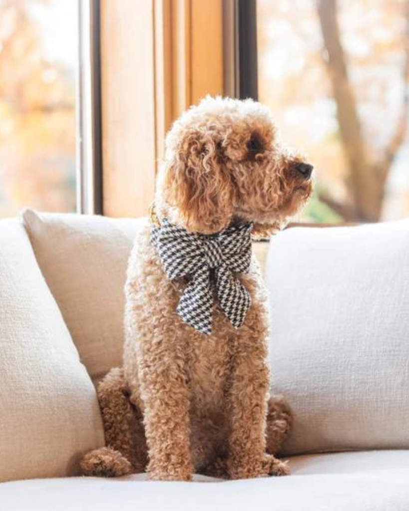 Houndstooth Flannel Lady Dog Bow Wear THE FOGGY DOG   