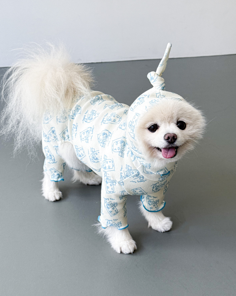 All-In-One Sleeping Time Dog Onesie