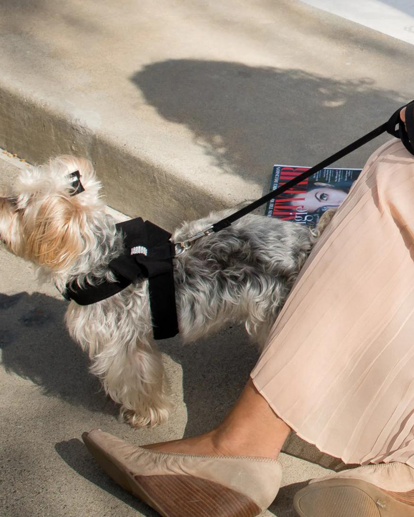 Tinkie Dog Harness (Made in the USA) WALK SUSAN LANCI DESIGNS   