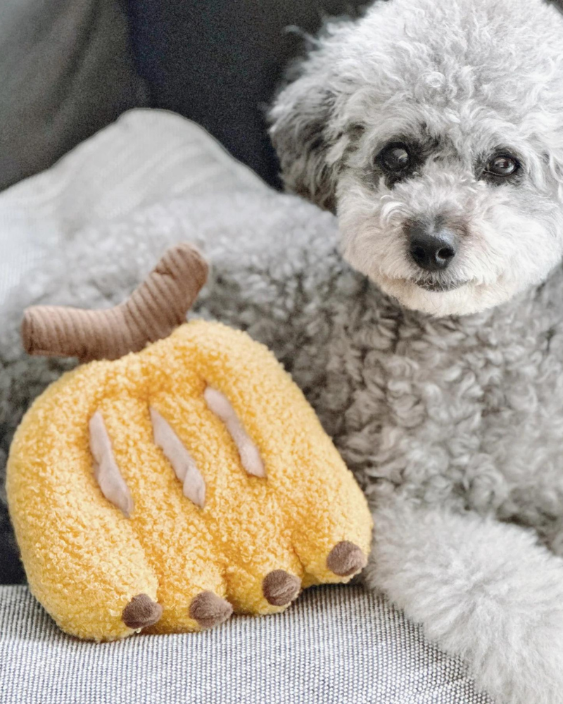 Banana Interactive Snuffle Dog Toy Play LAMBWOLF COLLECTIVE   