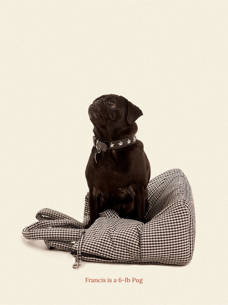 The Little Beast Dog Carrier in Noir Carry LITTLE BEAST   