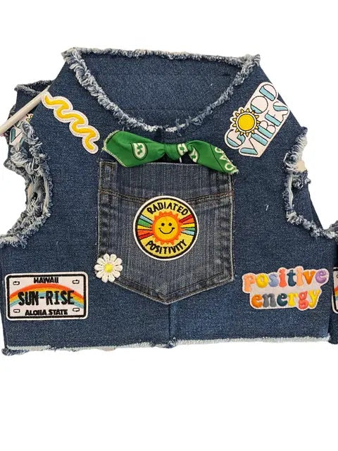 Sunshine Positivity Denim Dog Harness WALK HEADS OR TAILS PUP   