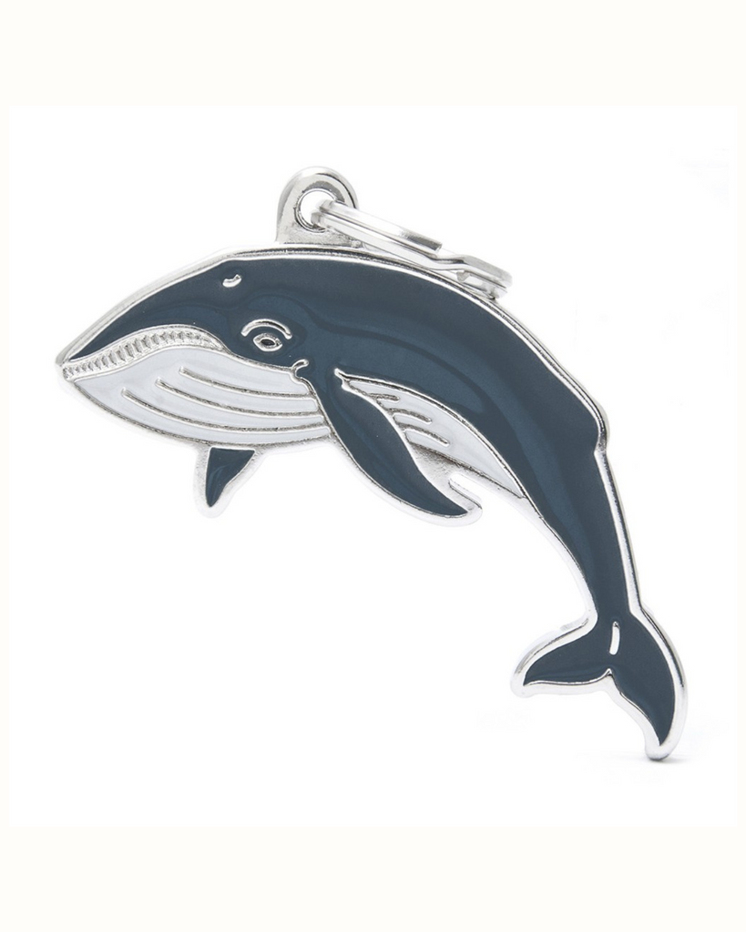 Wild as a Whale Custom Pet ID Tag Wear MY FAMILY   