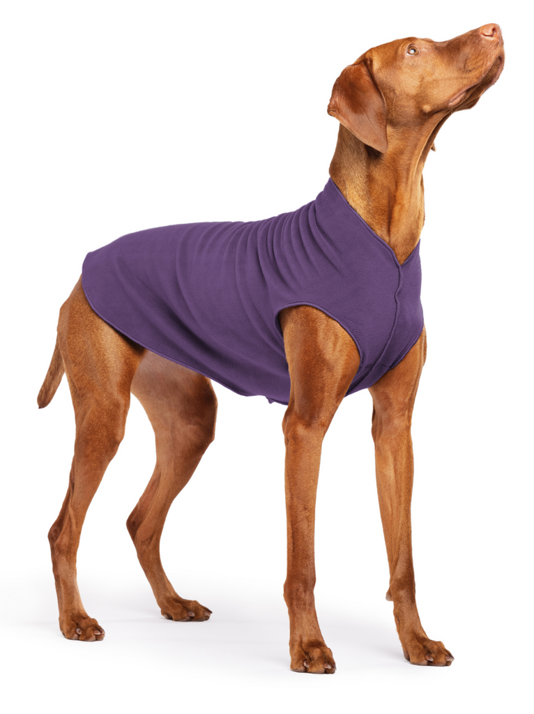 Stretch Fleece Dog Pullover in Huckleberry Wear GOLD PAW   