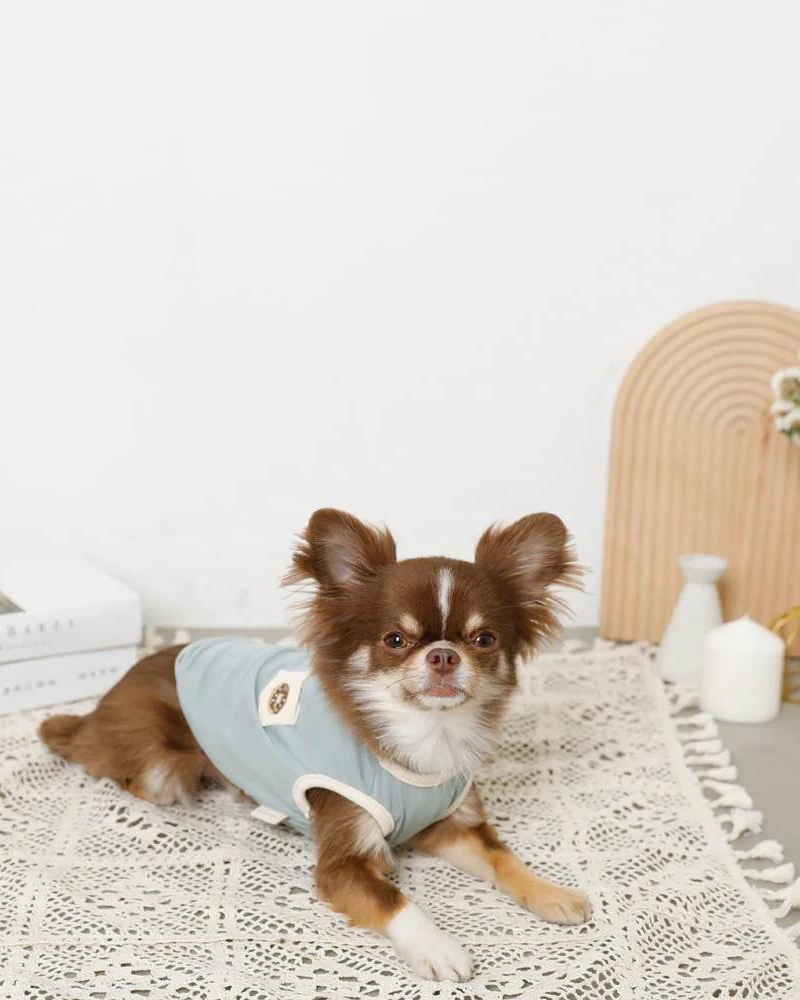 Donut Tank for Dogs (Cooling Fabric) (FINAL SALE) Wear MONCHERI   