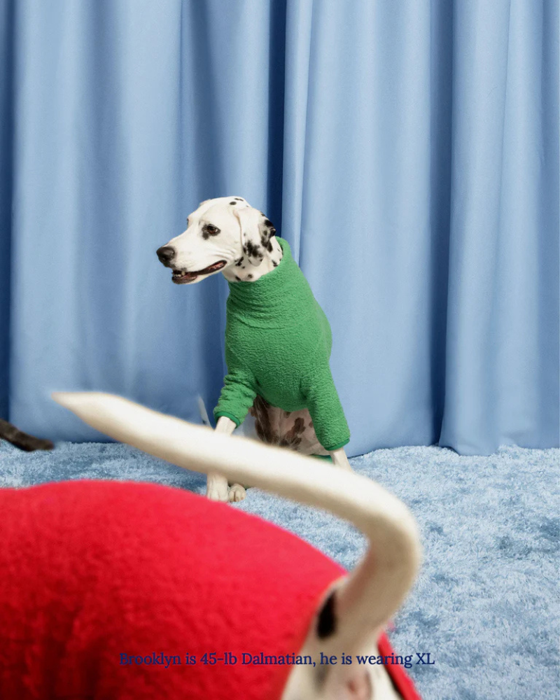 Mary Jane Fleece Dog Sweatshirt