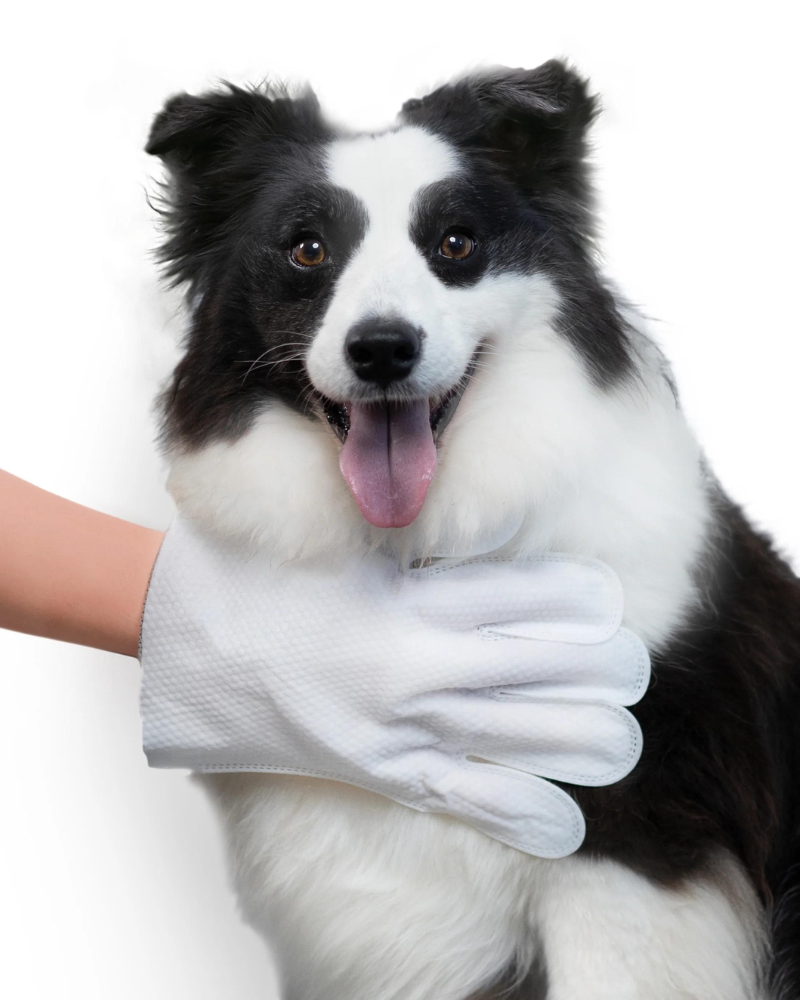 Pet Glove Wipes HOME INJOYA   