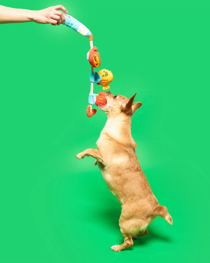 Fishing Nosework & Tug Dog Toy PLAY THE FURRY FOLKS