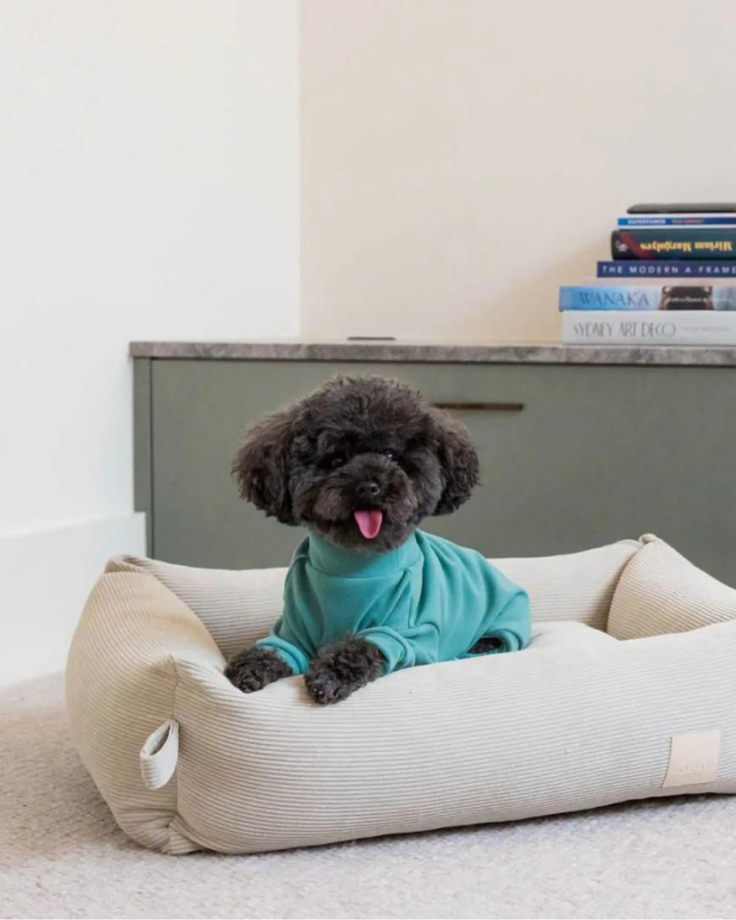 Soft Touch Dog Onesie in Sandstone or Myrtle Green (FINAL SALE) Wear FUZZYARD   