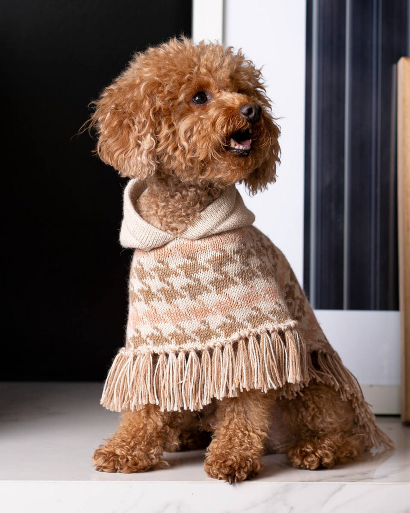 Soft Houndstone Alpaca Dog Poncho wear ALQO WASI