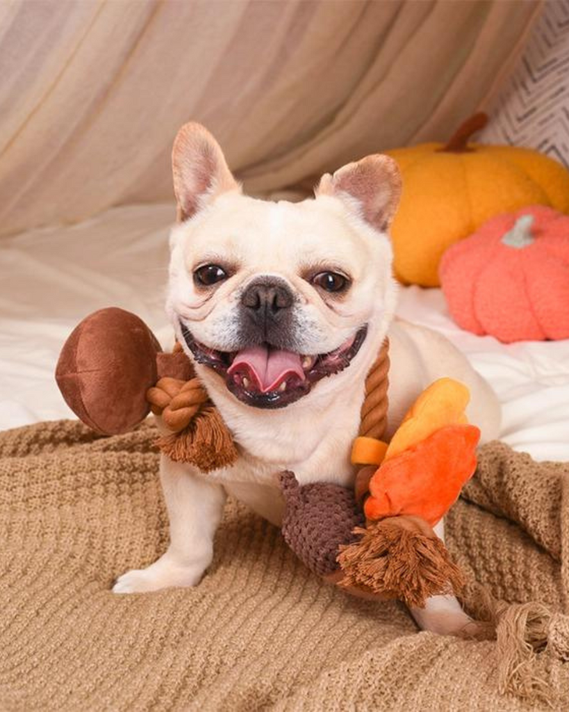 Autumn Acorn Squeaky Dog Toy Play HUGSMART   