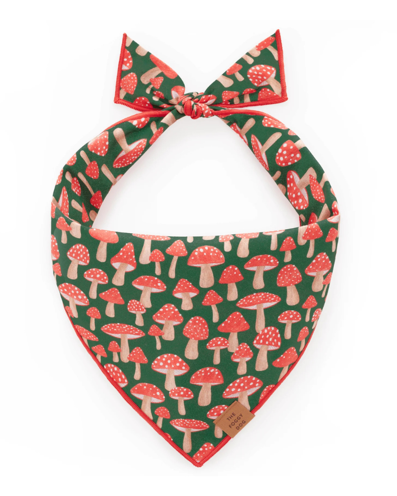 Mushroom Meadow Cotton Dog Bandana (Made in the USA) Wear THE FOGGY DOG