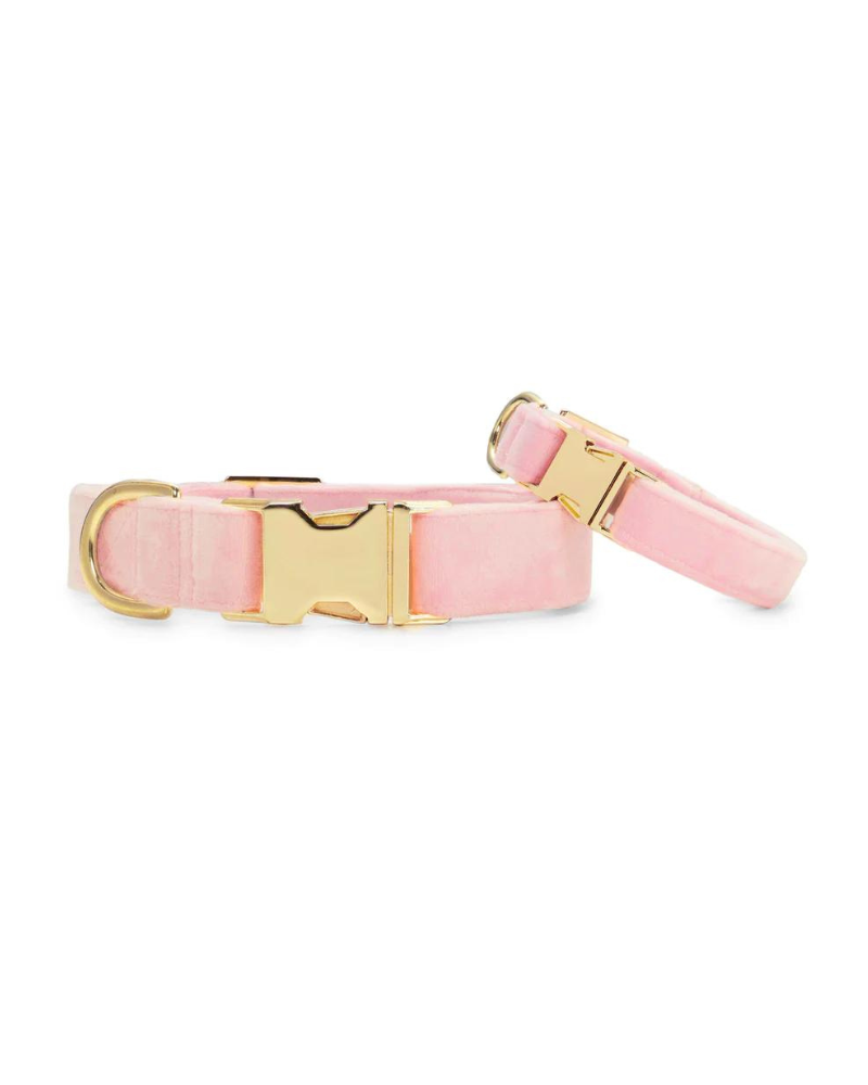 Blush Pink Velvet Dog Collar (Made in the USA) WALK THE FOGGY DOG   