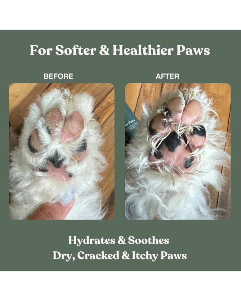 Soft Paws Hydrating Paw Lotion HOME DANDYLION
