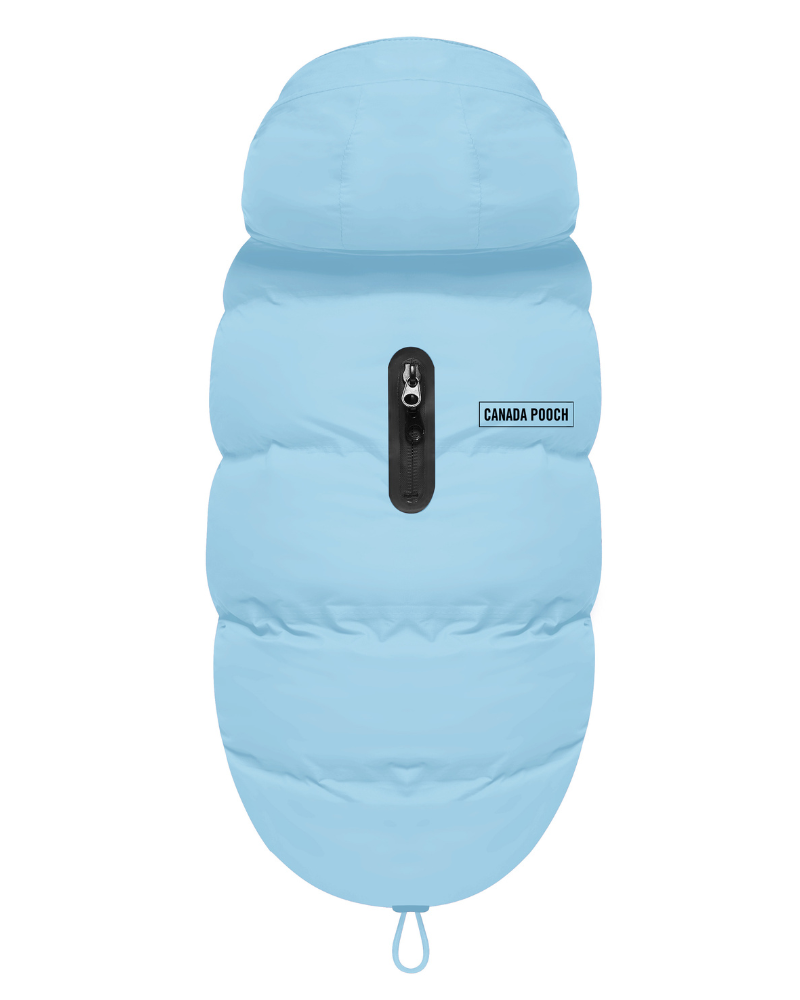 Insulated Waterproof Dog Puffer (FINAL SALE) Wear CANADA POOCH Ice Blue 10 