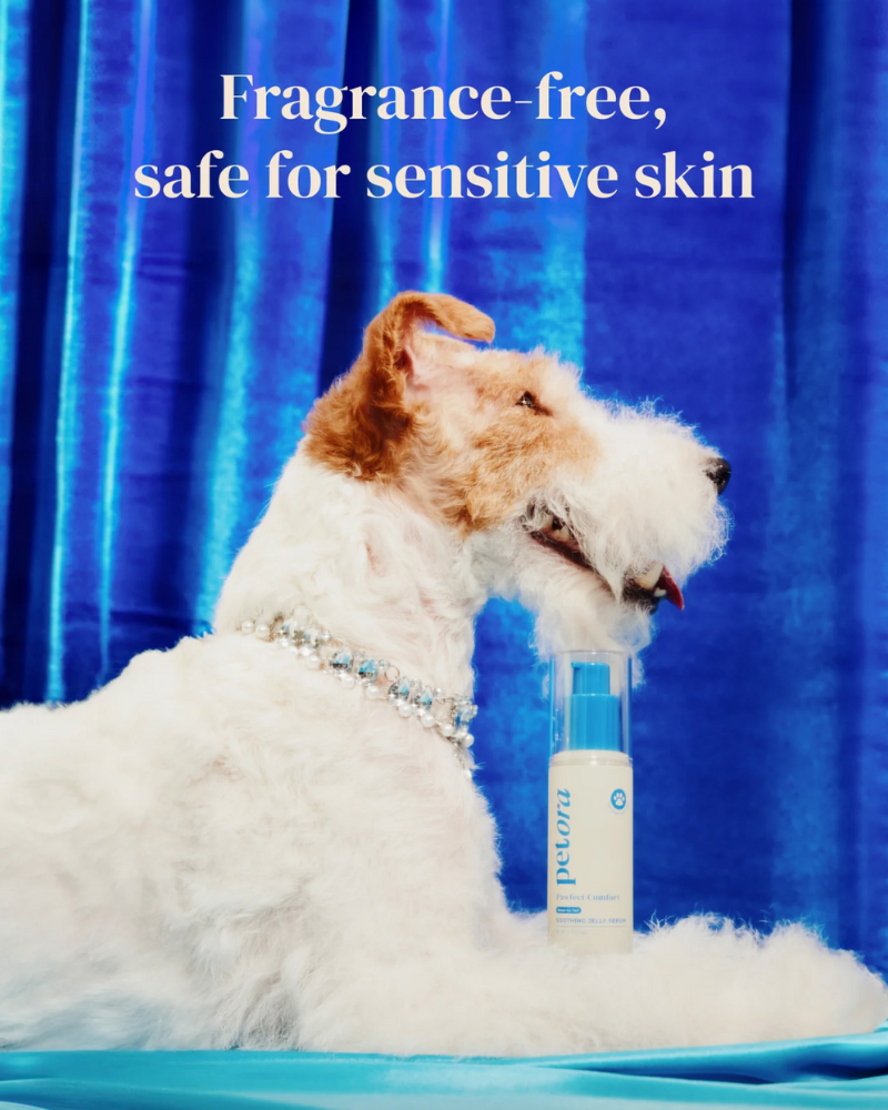 Pawfect Comfort Nose-to-Tail Soothing Jelly Serum for Dogs & Cats HOME PETORA