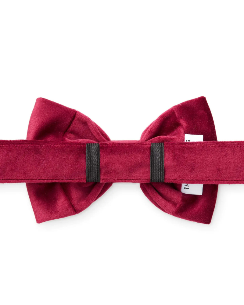 Burgundy Velvet Dog Bow Tie Wear THE FOGGY DOG