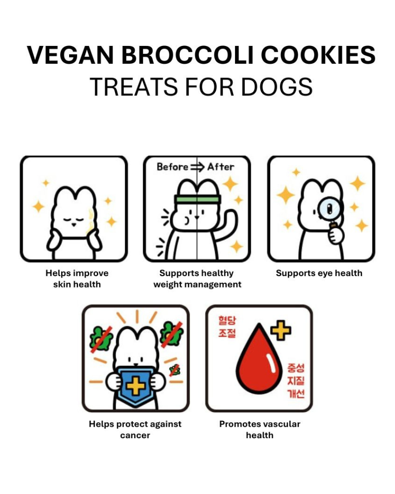 Vegan Broccoli Treats for Dogs Eat HIGH FOUR