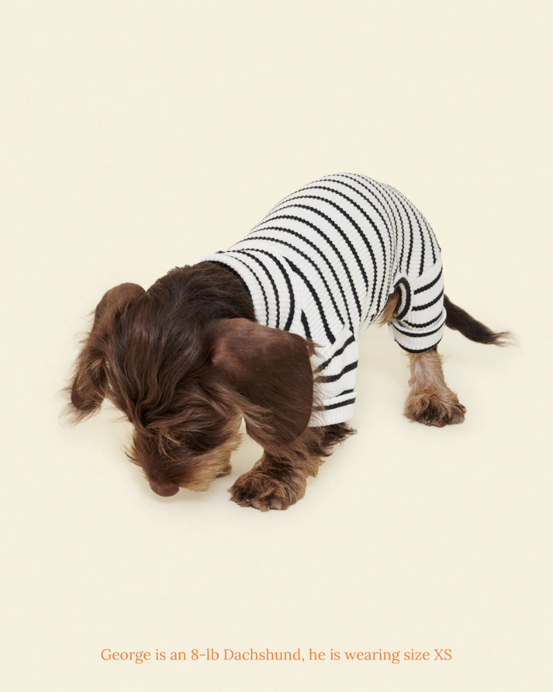World's Your Oyster Dog Onesie Wear LITTLE BEAST