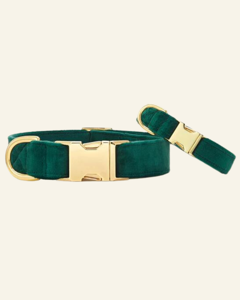 Forest Green Velvet Dog Collar (FINAL SALE) WALK THE FOGGY DOG   