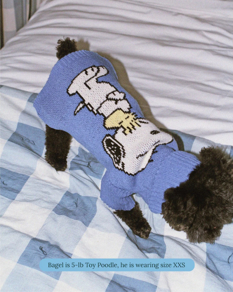Peanuts Snoopy Dog Sweater in Blue
