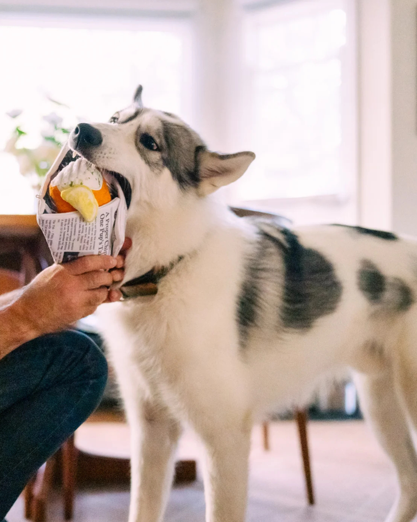 International Classic Fish Chippy & Chews Plush Dog Set PLAY P.L.A.Y.
