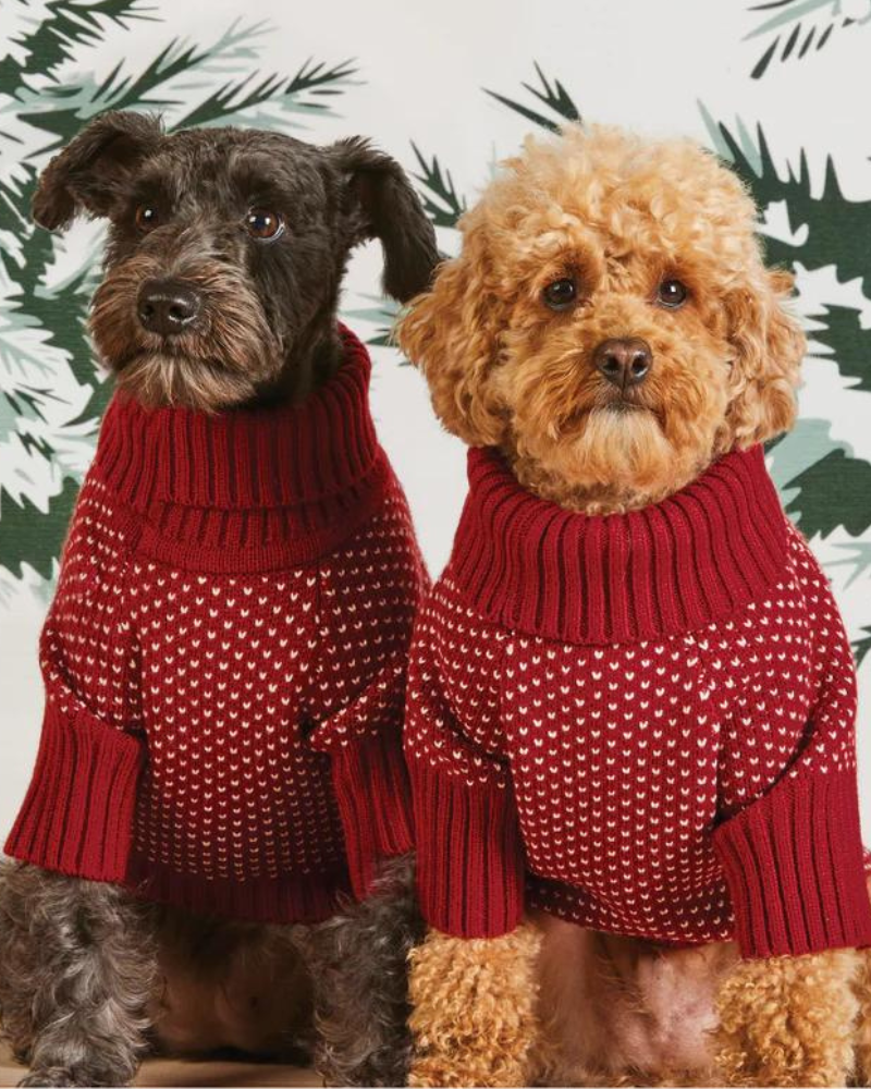 Heart Stitch Turtleneck Dog Sweater Wear THE FOGGY DOG   