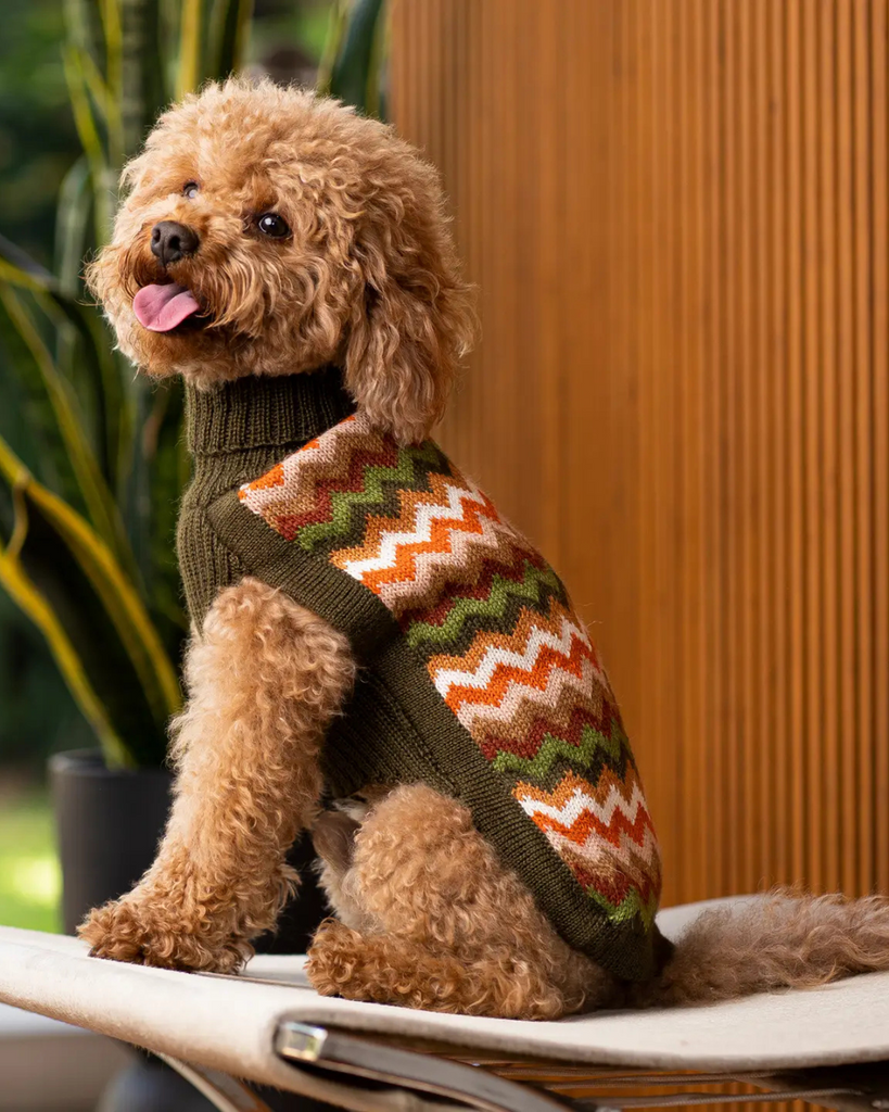 Forest Chevron Alpaca Knit Dog Sweater Wear ALQO WASI