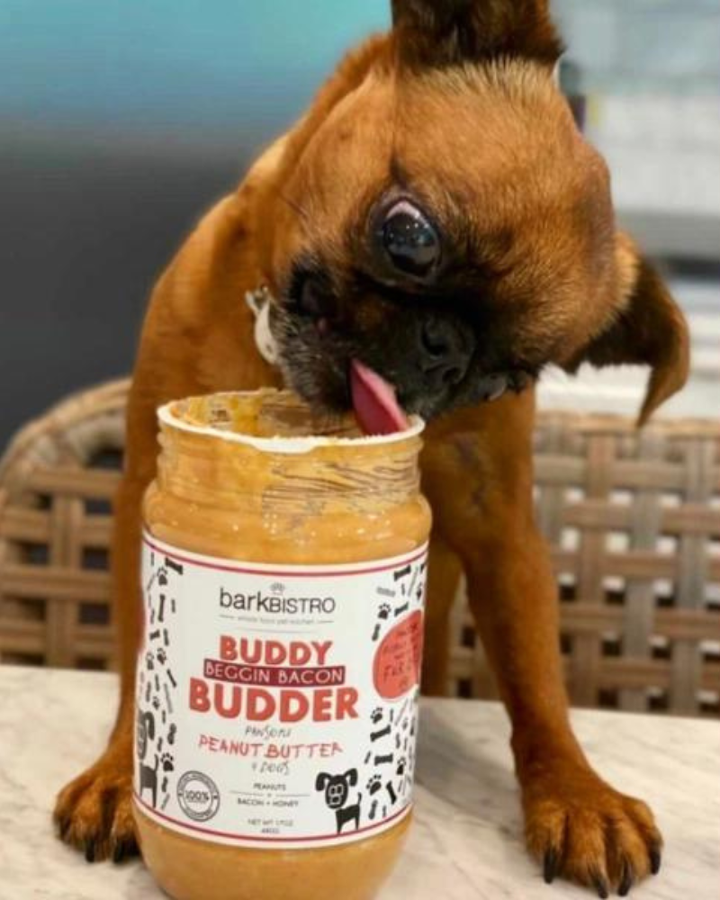 Beggin Bacon Buddy Peanut Butter for Dogs Eat BISTRO   