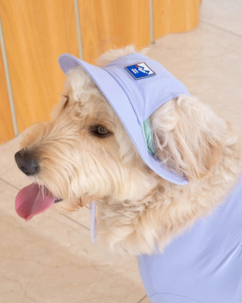 DOG & CO. | Quality Pet Products, In-Store & Online