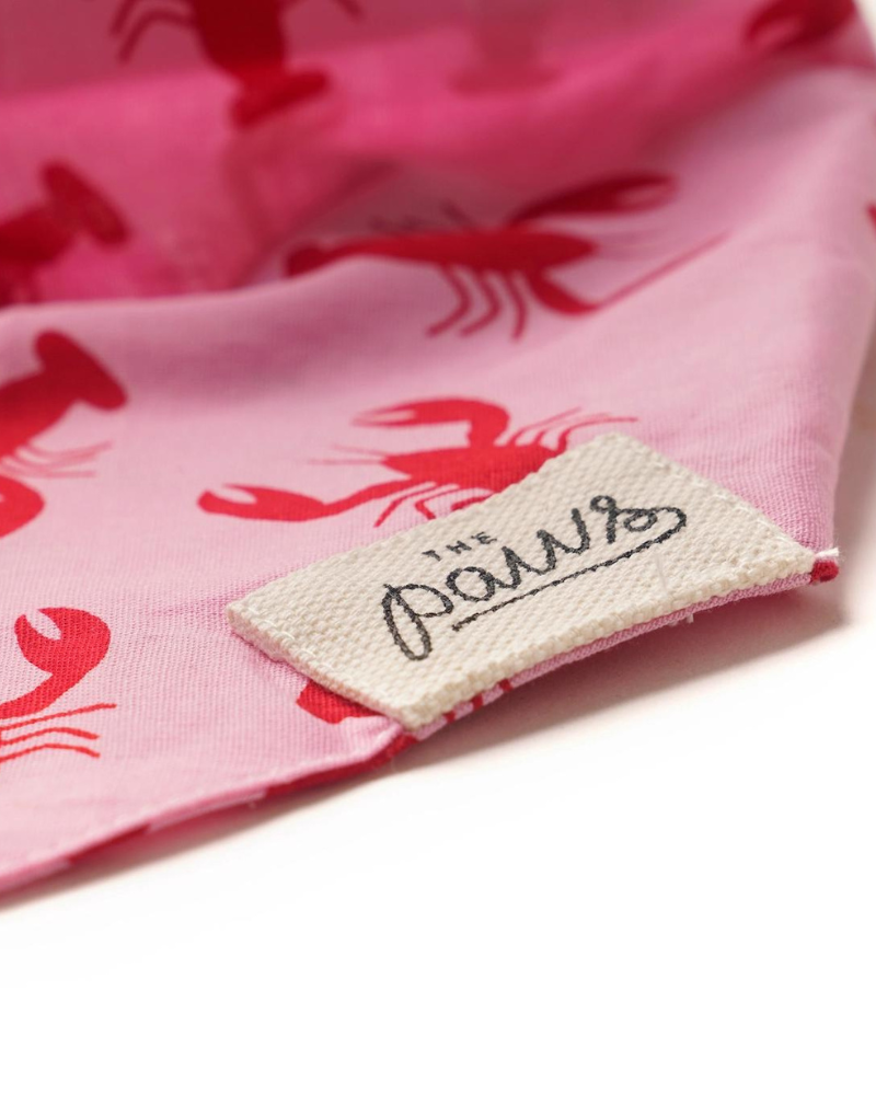 Frye Island Lobster Dog Bandana (FINAL SALE) Wear THE PAWS   