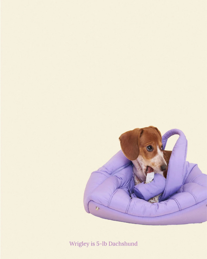 The Little Beast Mini Carrier in Ube Carry LITTLE BEAST