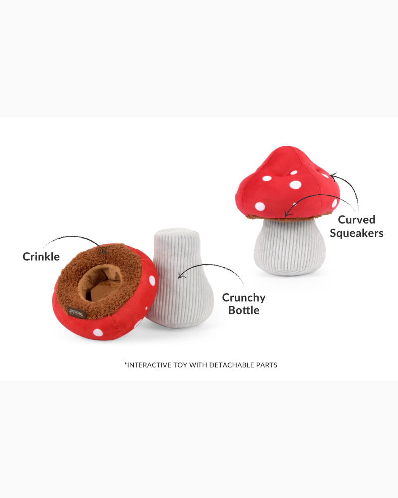 Mutt's Mushroom Squeaky Dog Toy Play P.L.A.Y.   