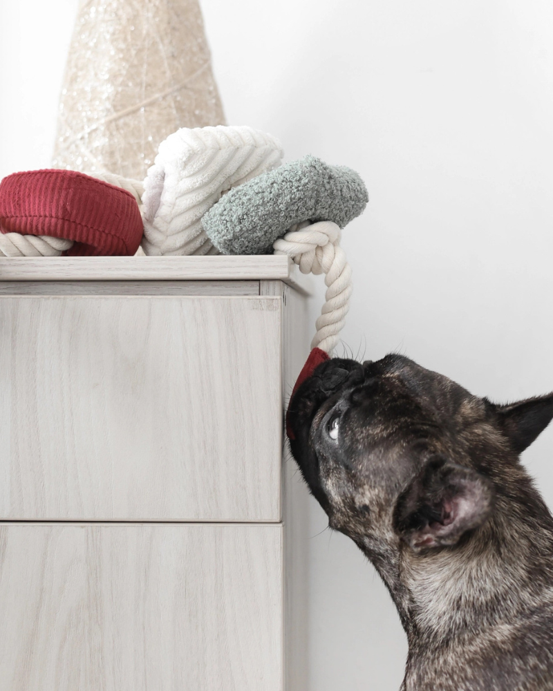 Christmas Blocs Interactive Tug Dog Toy Play LAMBWOLF COLLECTIVE