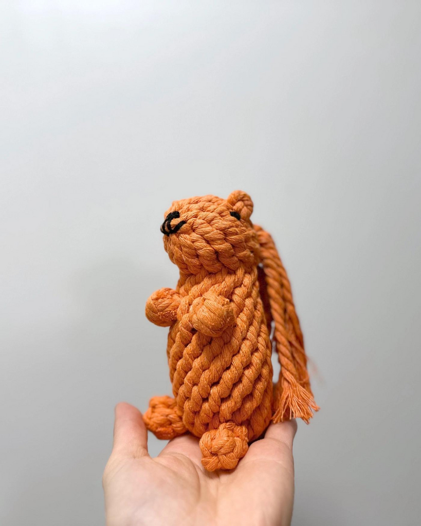 Handmade Eco-Friendly Oliver The Squirrel Rope Dog Toy Play KNOTTY PAWS   