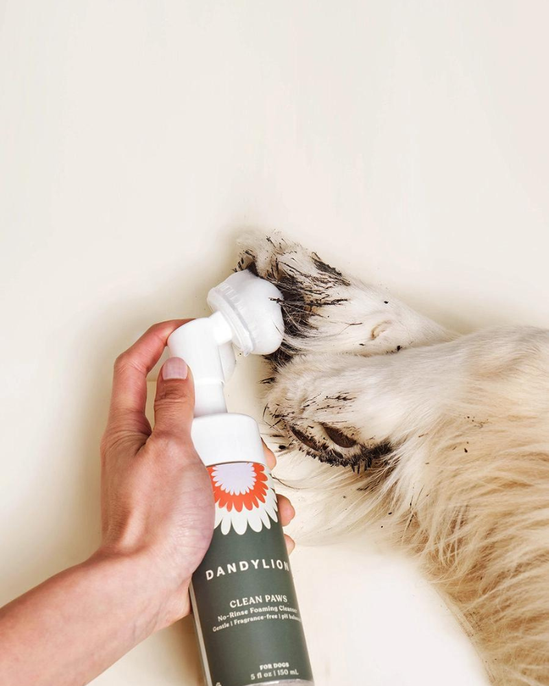 Clean Paws No-Rinse Foaming Cleanser for Dogs (Vegan & Cruelty Free) HOME DANDYLION   