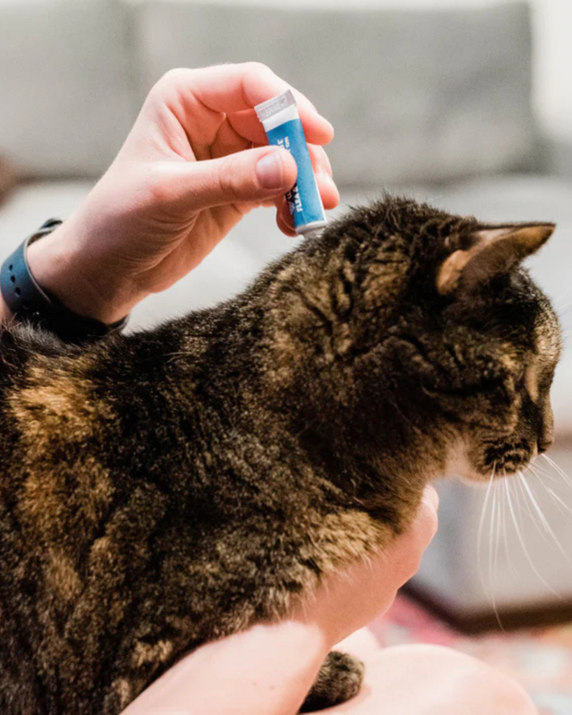 Flea & Tick Spot On for Dogs + Cats with Natural Essential Oils