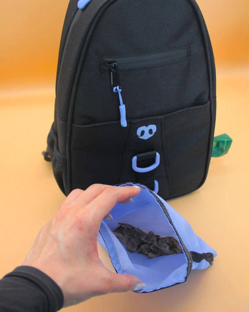 Waterproof Dog Walking Bag w/ Removable Treat Pouch WALK MOLO MODERN PET